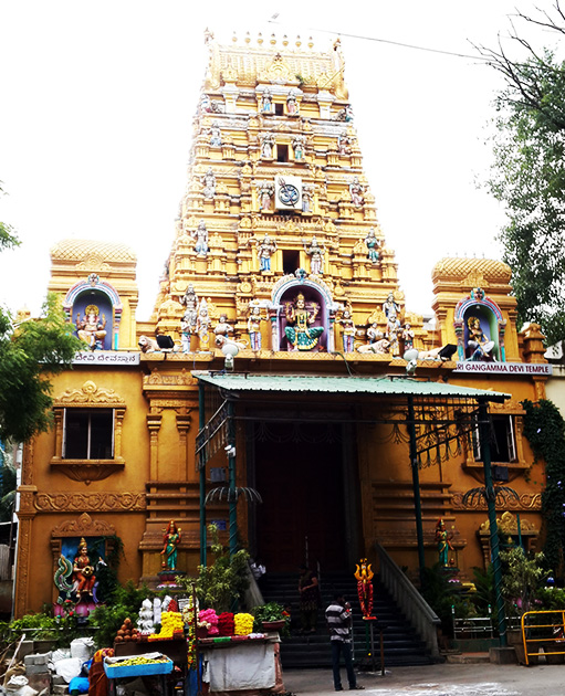 Famous Astrologer in Srirangapatna